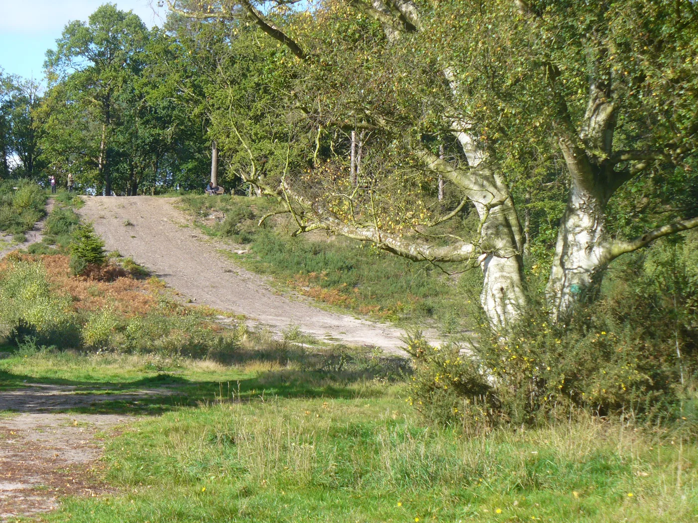 A sandy track across Oxshott Heath. The picture does not show the works.